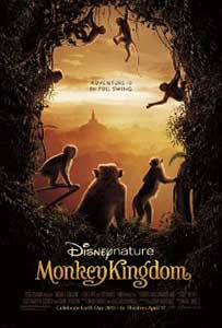 Regatul maimutelor - Monkey Kingdom (2015) Documentar Online