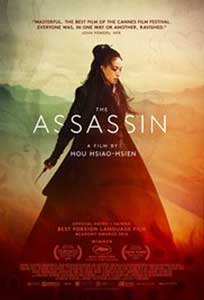 Asasinul - The Assassin (2015) Online Subtitrat in HD 1080p
