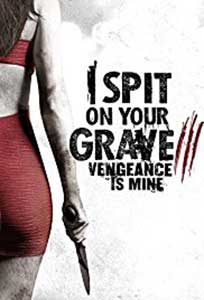 I Spit on Your Grave 3 (2015) Online Subtitrat in Romana