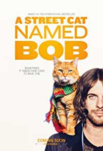 A Street Cat Named Bob (2016) Film Online Subtitrat