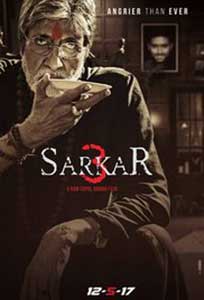 Sarkar 3 (2017) Film Indian Online Subtitrat in Romana