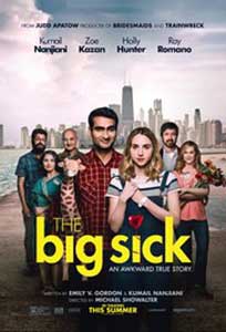 The Big Sick (2017) Film Online Subtitrat in Romana