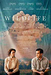 Wildlife (2018) Online Subtitrat in HD 1080p