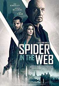 Spider in the Web (2019) Online Subtitrat in Romana in HD 1080p
