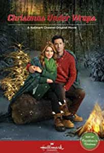 Christmas Under Wraps (2014) Film Online Subtitrat in Romana