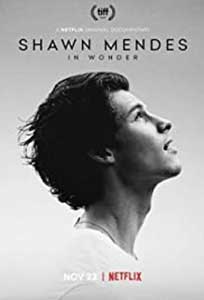 Shawn Mendes: In Wonder (2020) Documentar Online Subtitrat