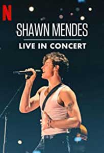 Shawn Mendes: Live in Concert (2020) Online Subtitrat