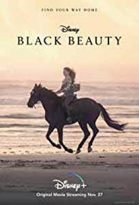 Black Beauty (2020) Film Online Subtitrat in Romana