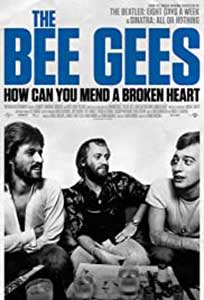 The Bee Gees: How Can You Mend a Broken Heart (2020) Documentar Online