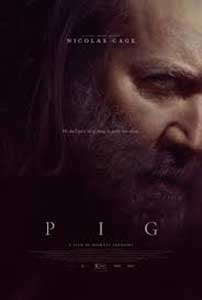 Pig (2021) Film Online Subtitrat in Romana