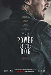 The Power of the Dog (2021) Film Online Subtitrat in Romana